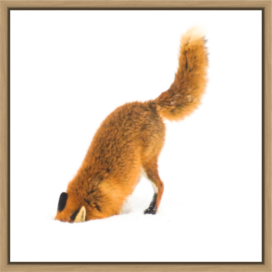 Main image Smart Fox 8