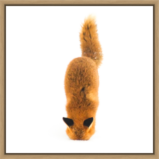 Main image Smart Fox 4