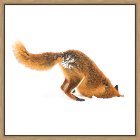 Main image Smart Fox No. 010